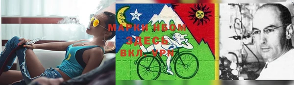 сатива Арсеньев