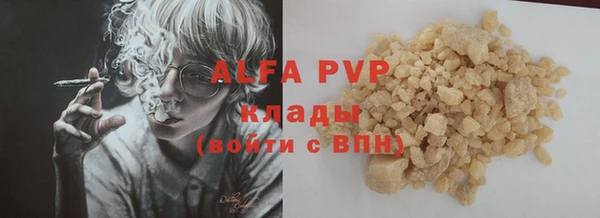 сатива Арсеньев