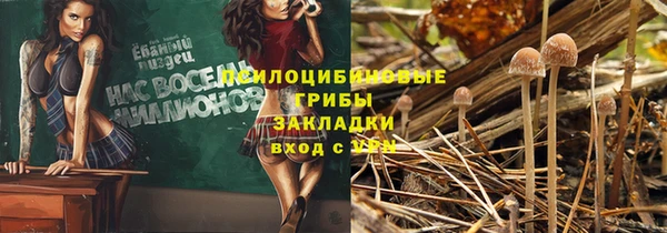 сатива Арсеньев