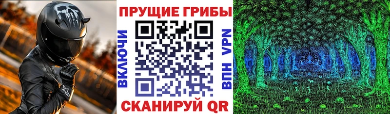 Галлюциногенные грибы GOLDEN TEACHER  Нытва 